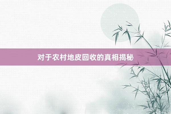对于农村地皮回收的真相揭秘
