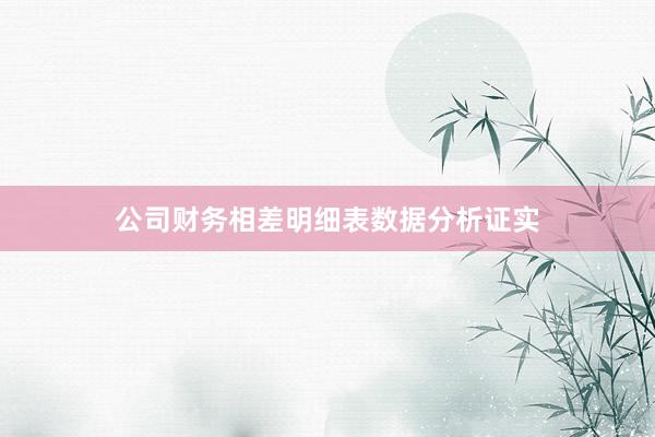 公司财务相差明细表数据分析证实
