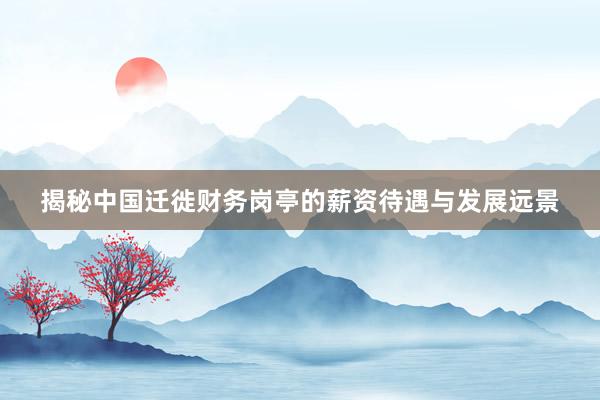 揭秘中国迁徙财务岗亭的薪资待遇与发展远景